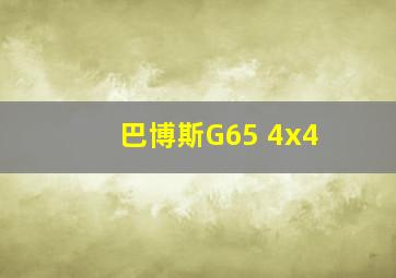 巴博斯G65 4x4